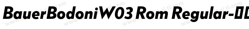 BauerBodoniW03 Rom Regular字体转换